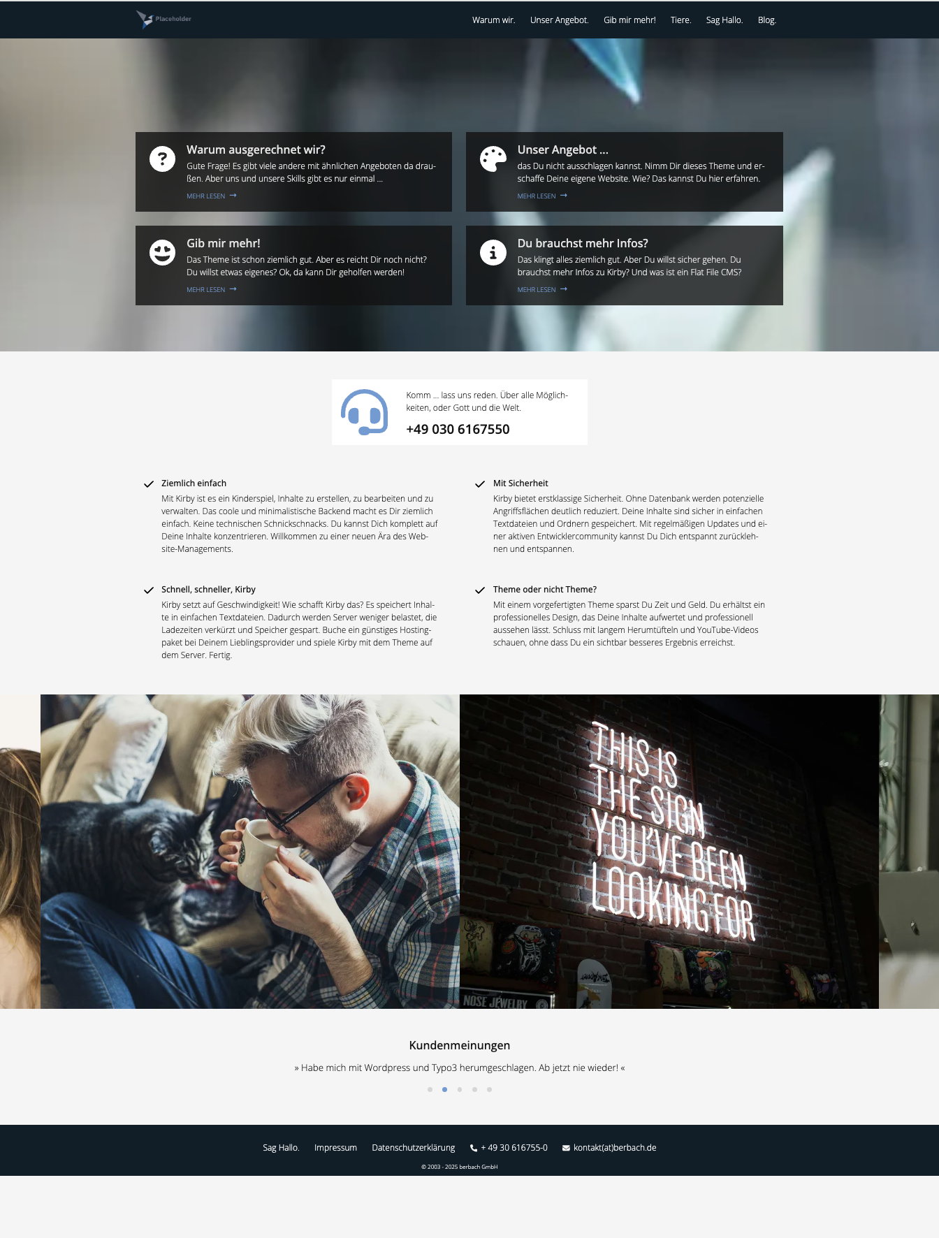 Theme two homepage preview